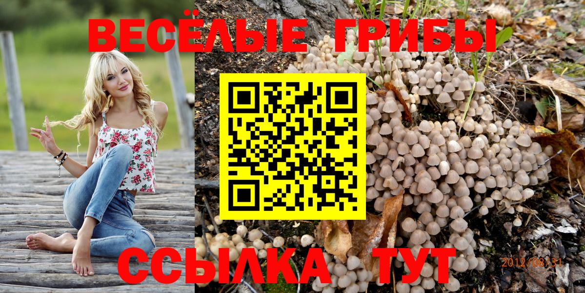 Подольск  Галлюциногенные грибы прущие грибы  Вход с VPN 