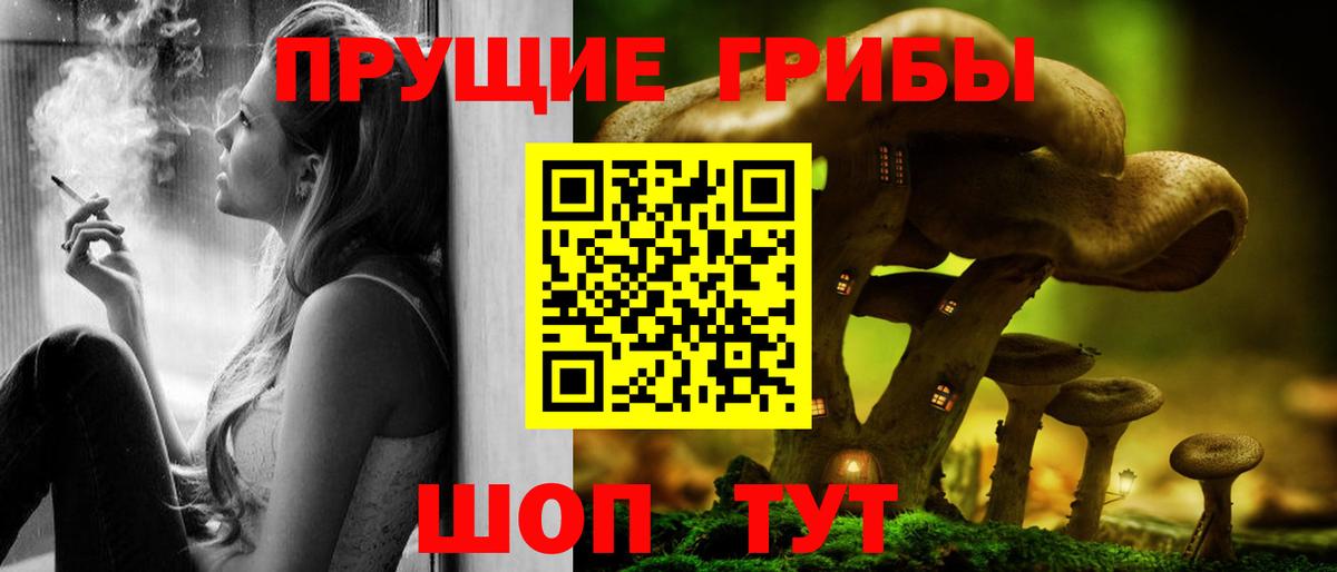 Псилоцибиновые грибы Psilocybine cubensis Подольск